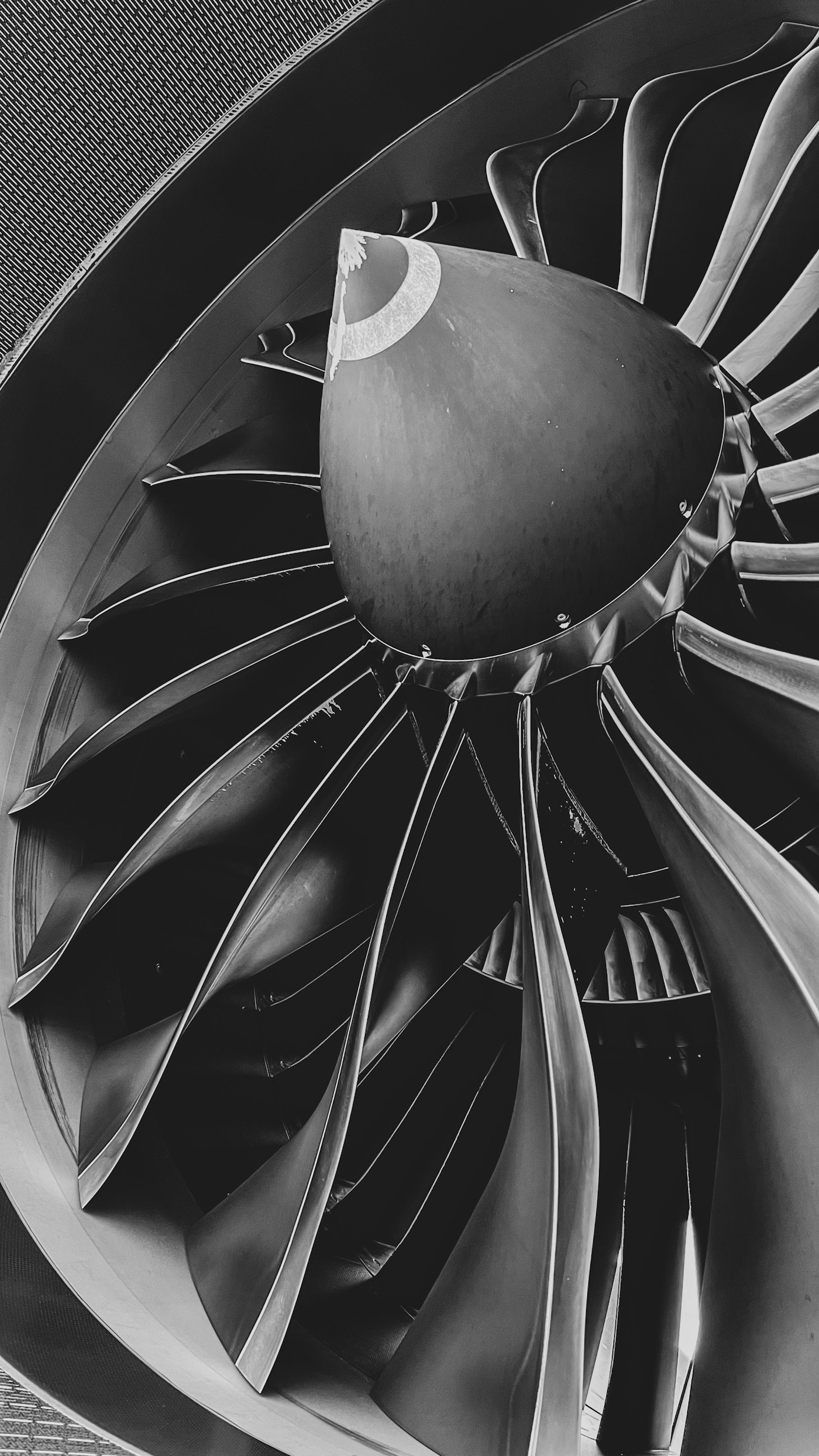 Turbine fan assembly